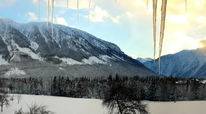 A&z Siegl Apartmán *